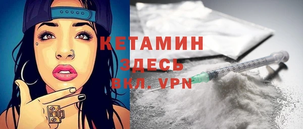 стаф Осинники