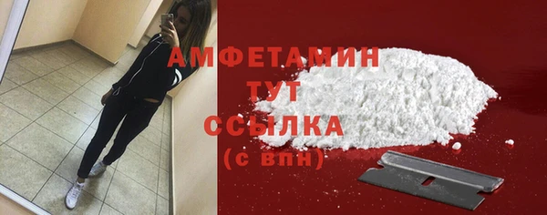 стаф Осинники