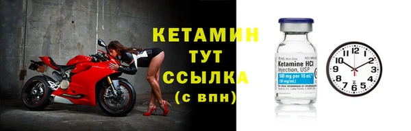 стаф Осинники