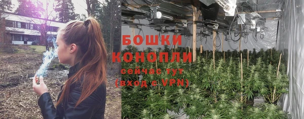 ALPHA-PVP Остров