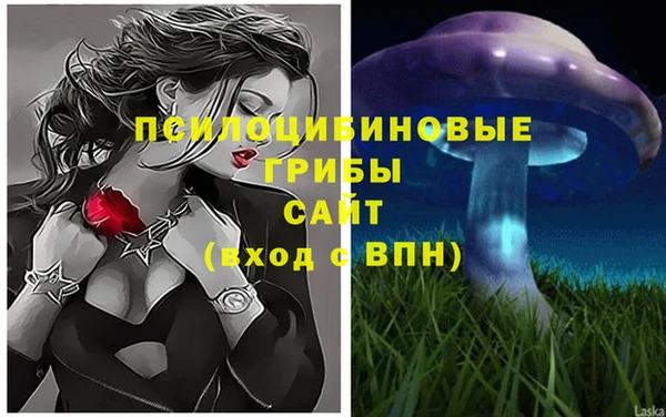 МДПВ Осташков