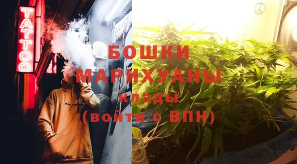 стаф Осинники