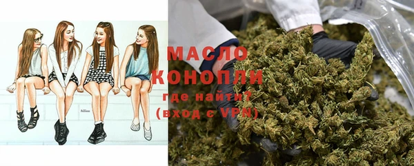 стаф Осинники