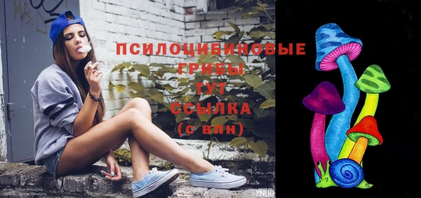 МДПВ Осташков