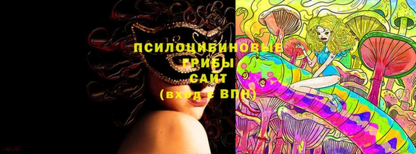 МДПВ Осташков