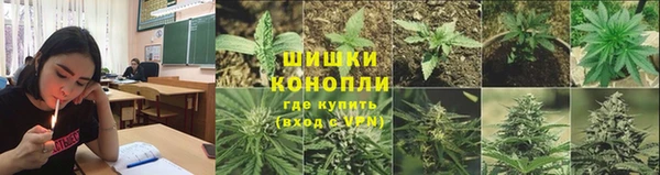 ALPHA-PVP Остров