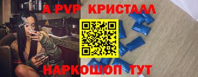 стаф Донской