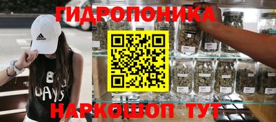 индика Азнакаево