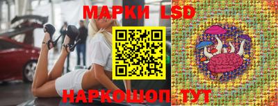 стаф Донской