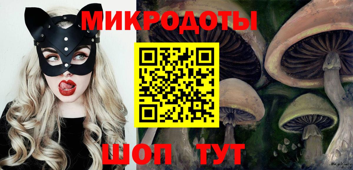 Галлюциногенные грибы Cubensis Кондопога